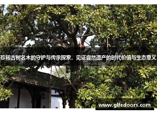 珍稀古树名木的守护与传承探索，见证自然遗产的时代价值与生态意义